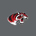 denton-braswell-highschool-basketball
